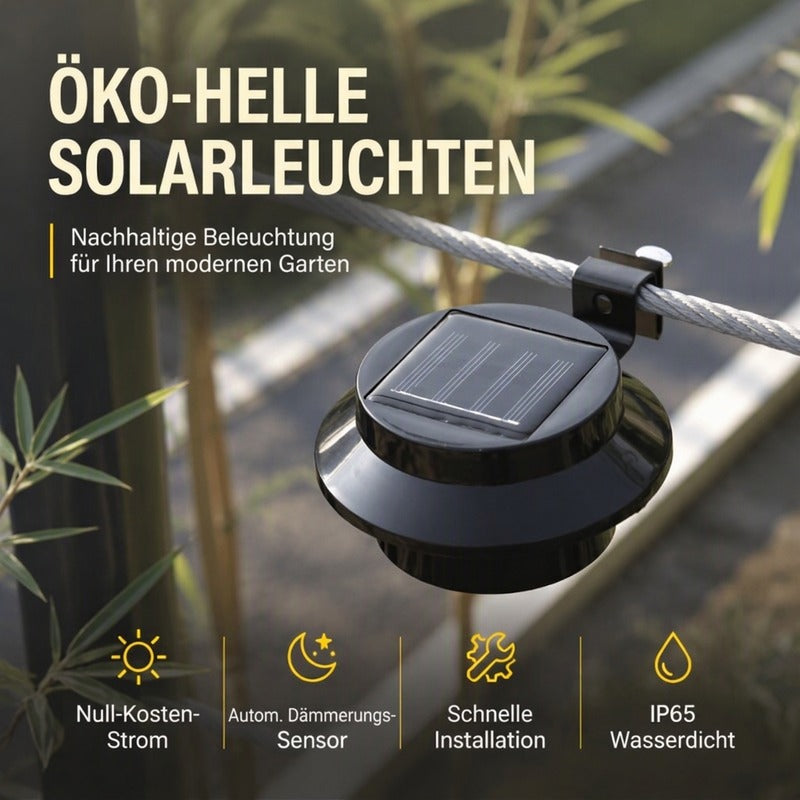 ☀️50% OFF💡Solar lights for outdoor use – energy-saving, long-lasting and provides atmospheric lighting all night long 🌙🏡